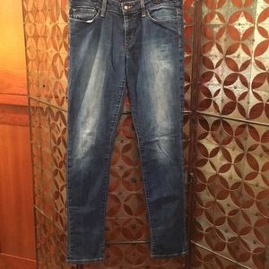 Joes Jeans size 29 skinny visionaries